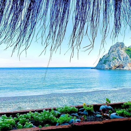 Datca Masal Gibi Luaran gambar